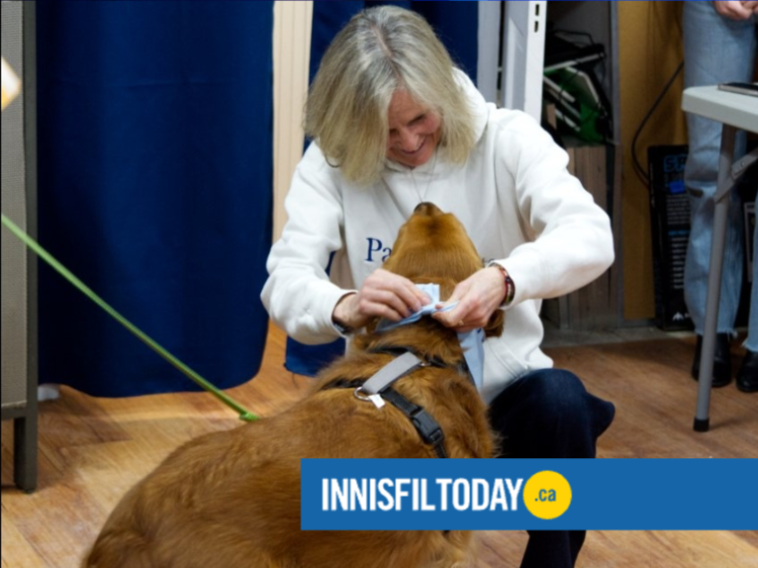 Therapy Dog Program Graduation | Innsfil Today