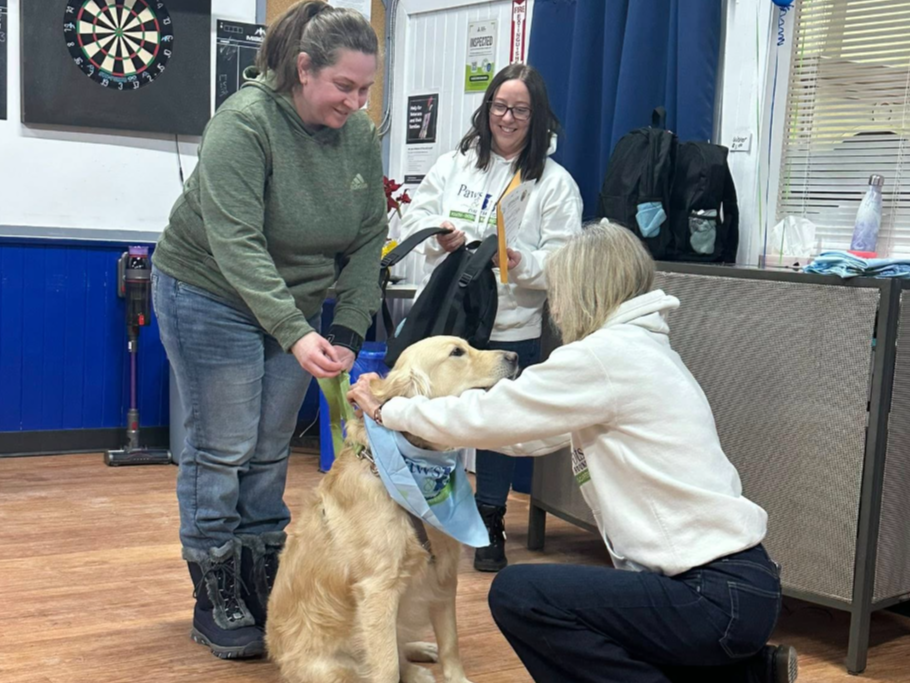 Mayor Lynn Dollin Highlights Therapy Dog Program | Community Impact in Innisfil